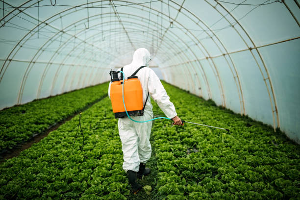 Best Residential Pest Control  in Marlin, TX