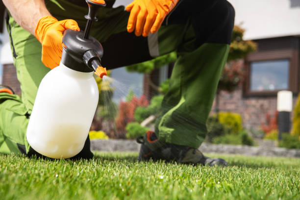 Best Emergency Pest Control  in Marlin, TX