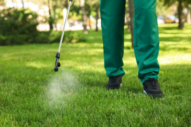 Best Pest Removal Services  in Marlin, TX