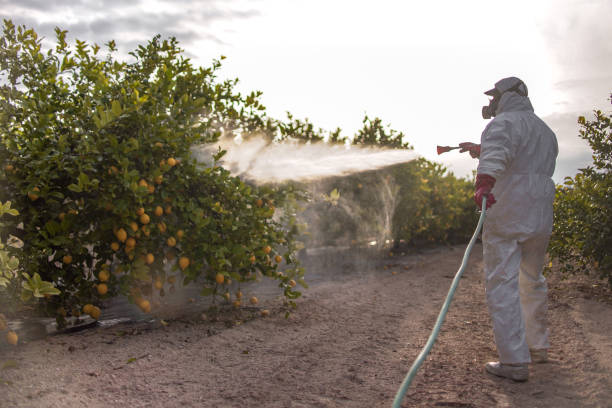 Best Wasp Removal Services  in Marlin, TX