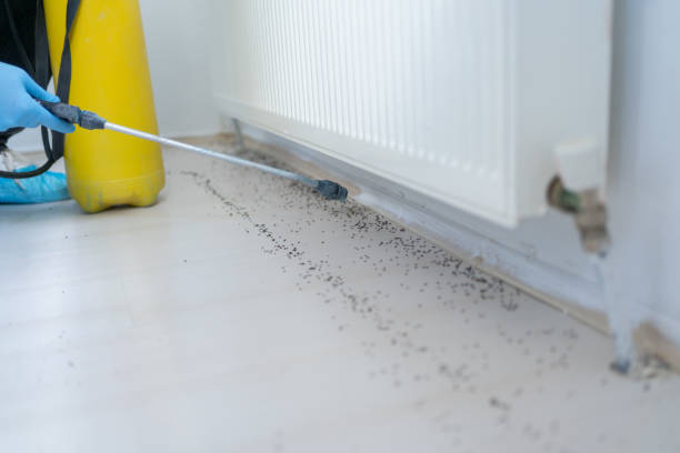 Best Commercial Pest Control Services  in Marlin, TX