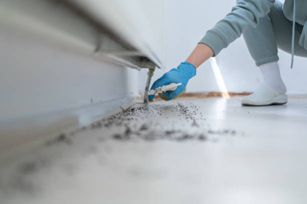 Best Ant Control Services  in Marlin, TX